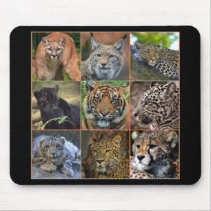 Big cats mouse mat