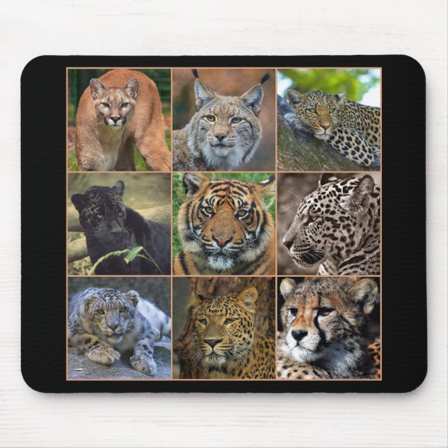 Big cats mouse mat (Front)