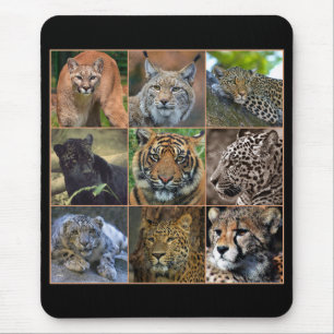 Big cats mouse mat