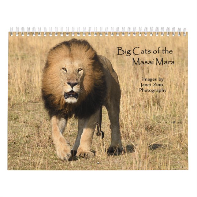 Big Cats of the Masai Mara, Kenya Calendar (Cover)