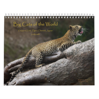 Big Cats of the World Calendar