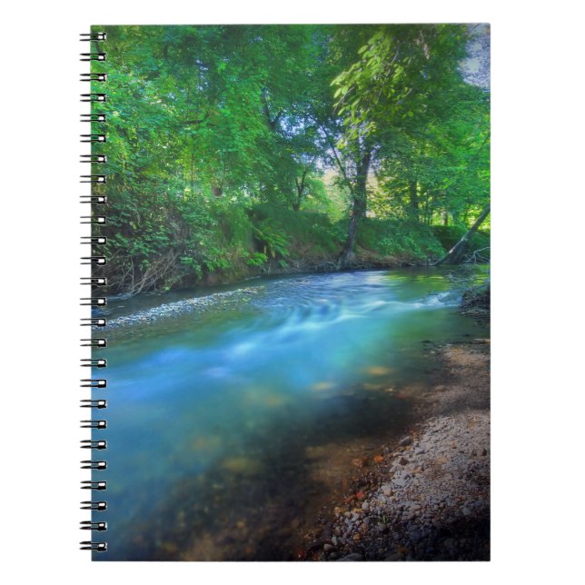 Big Chico Creek, Chico State University Notebook (Front)