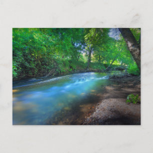 Big Chico Creek Postcard
