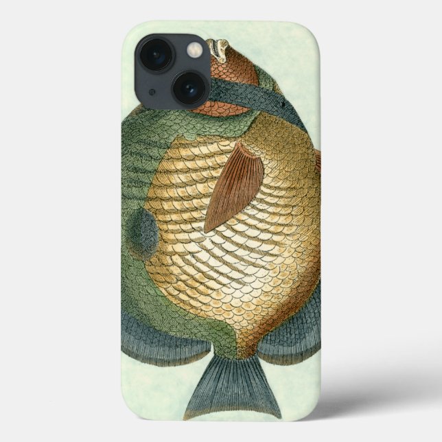 Big Colourful Fish Case-Mate iPhone Case (Back)