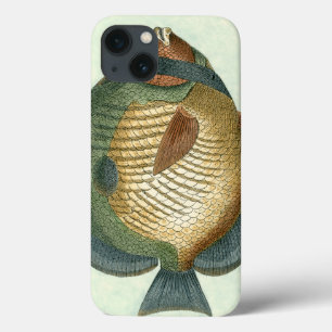 Big Colourful Fish iPhone 13 Case