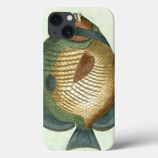 Big Colourful Fish Case-Mate iPhone Case (Back)