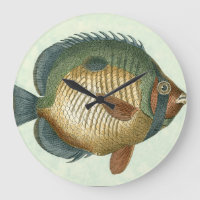 Big Colourful Fish