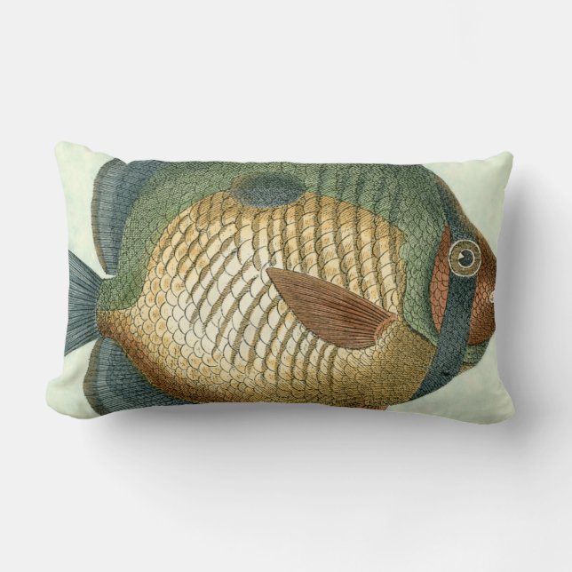 Big Colourful Fish Lumbar Cushion (Front)