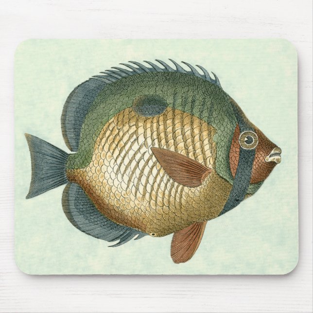 Big Colourful Fish Mouse Mat (Front)