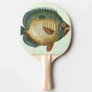 Big Colourful Fish Ping Pong Paddle