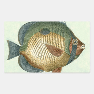 Big Colourful Fish Rectangular Sticker