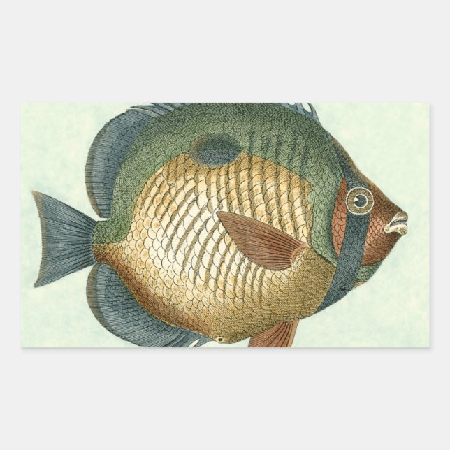 Big Colourful Fish Rectangular Sticker (Front)