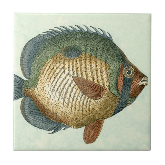 Big Colourful Fish Tile (Front)
