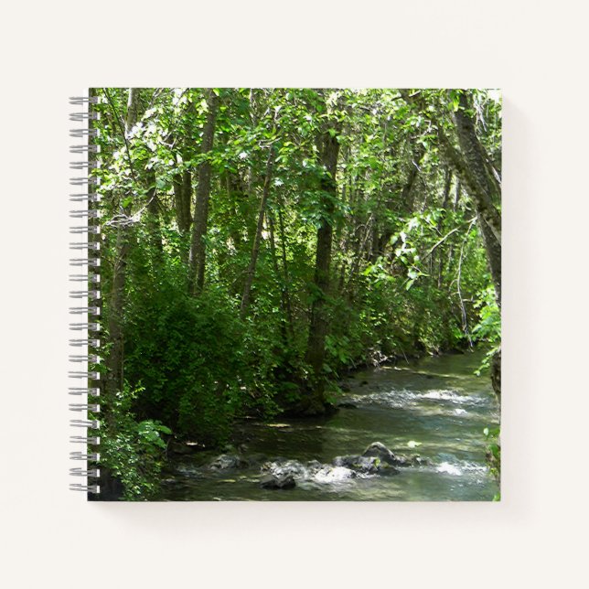 Big  Creek in the Summer Time..... Notebook (Front)