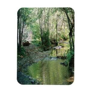 Big Creek... Magnet