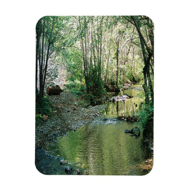Big Creek... Magnet (Vertical)
