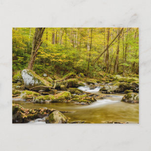 Big Creek   North Carolina Postcard