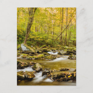 Big Creek   North Carolina Postcard