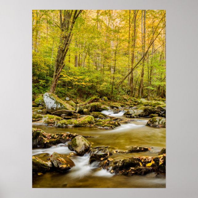 Big Creek | North Carolina Poster (Front)