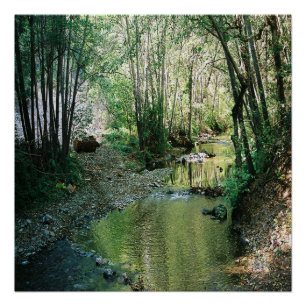 Big Creek... Poster