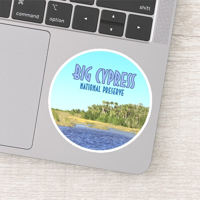 Big Cypress National Preserve Florida (Detail)