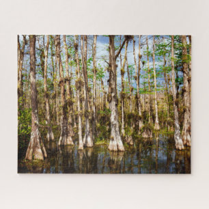 Big Cypress Preserve Jigsaw Puzzle