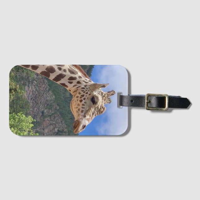 Big Daddy Luggage Tag #2 (Front Horizontal)