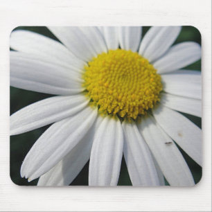 Big Daisy Mouse Mat