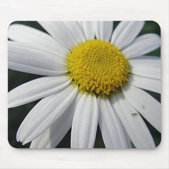Big Daisy Mouse Mat (Front)
