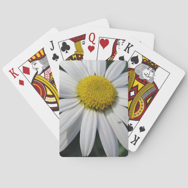 Big Daisy Playing Cards (Back)