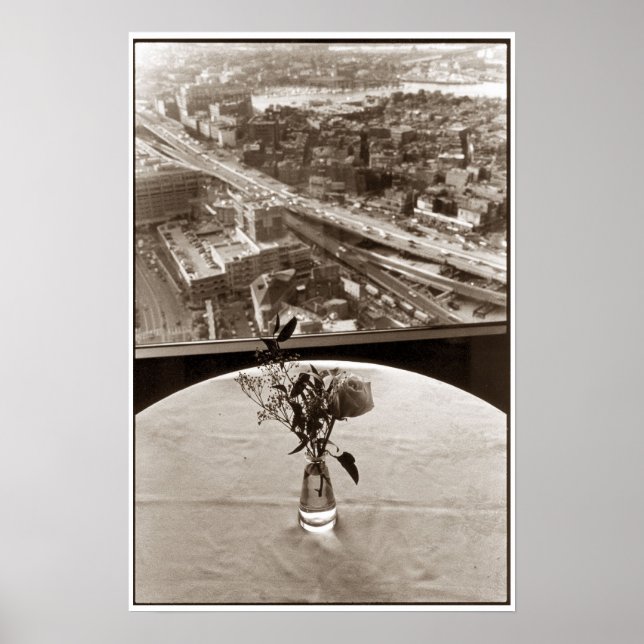 Big Dig Rose Poster (Front)