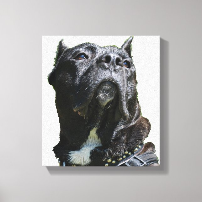 Big Dog Canvas Print (Front)