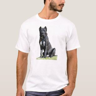 Big Dog  Sitting T-Shirt