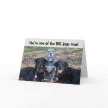 Big Dogs Now Graduation Card