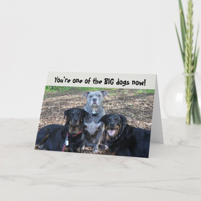 Big Dogs Now Graduation Card (Front)