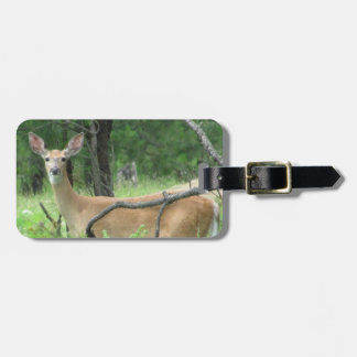 Big Ear Deer Luggage Tag
