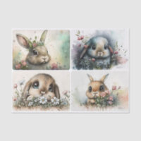 Big Eyed Bunnies