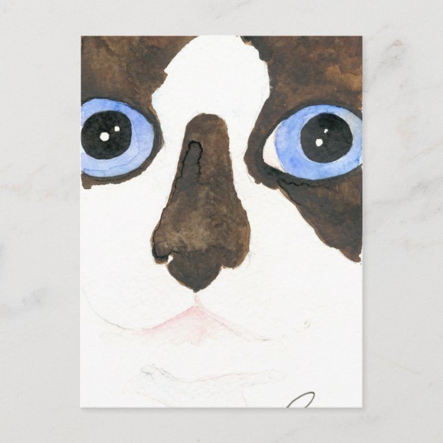 Big Eyed Snowshoe cat Postcard (Front)