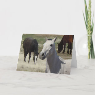 Big Eyes Pretty Little Grey Grey Pony Herd Blank Card
