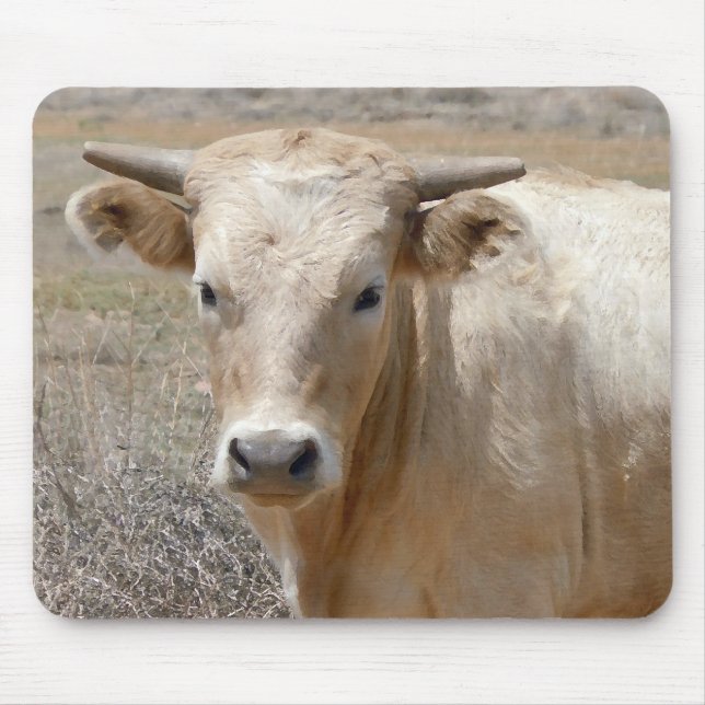 Big Eyes White Charolais Cattle - Western Mouse Mat (Front)