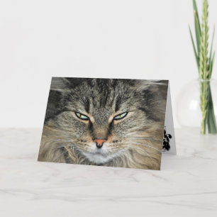 Big Face Cat Birthday Card