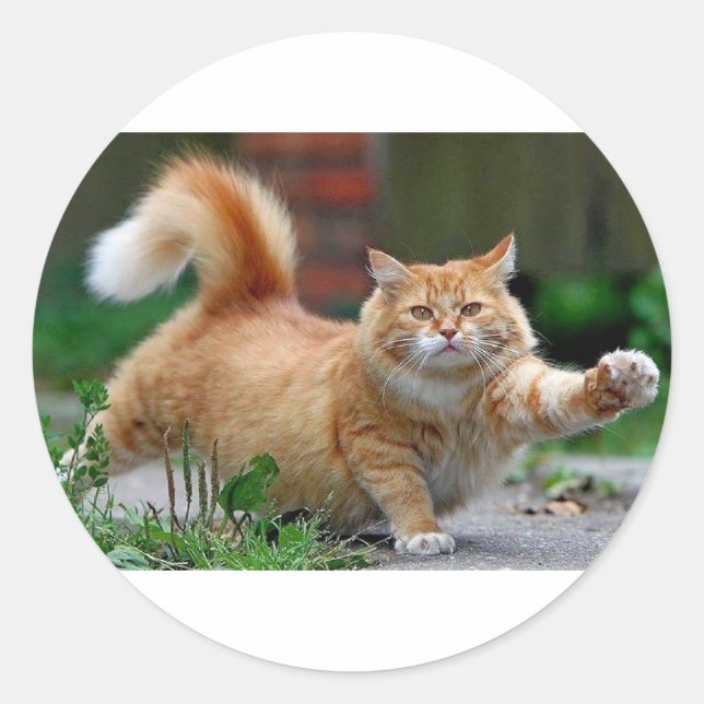 Big Fat Orange Cat Classic Round Sticker (Front)