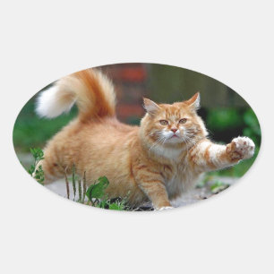 Big Fat Orange Cat Oval Sticker