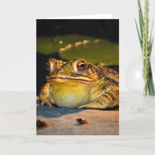 Big Fat Toad Card