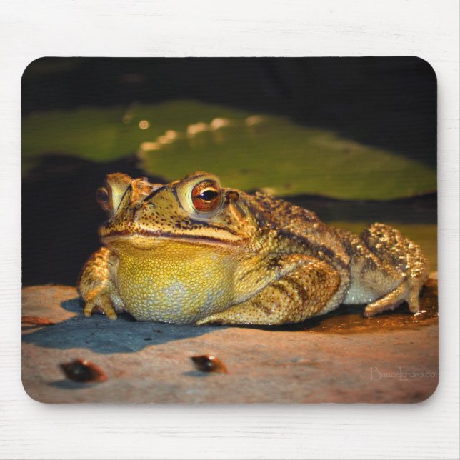 Big Fat Toad Mouse Mat (Front)