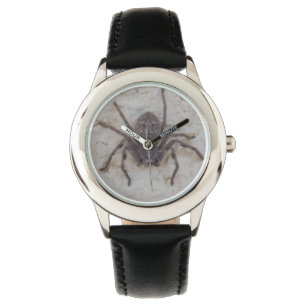 Big Female Huntsman Spider, Watch