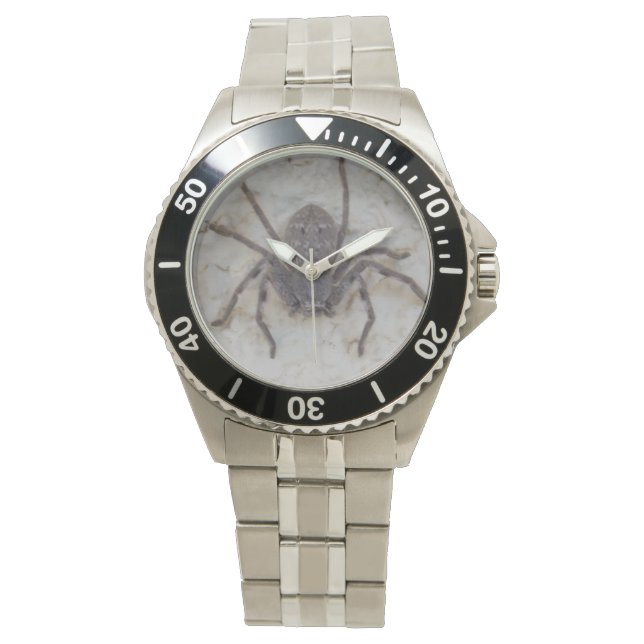 Big Female Huntsman Spider, Watch (Front)
