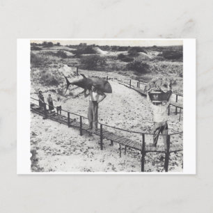 Big fish - invitation postcard