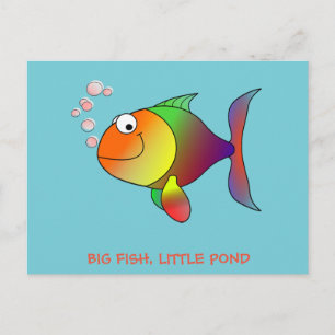 BIG FISH, LITTLE POND - Post Card