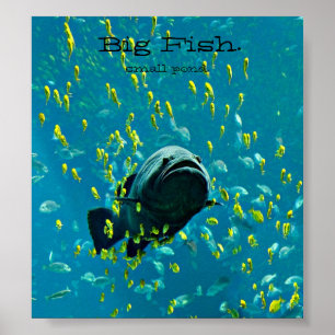 Big Fish. small pond. Poster